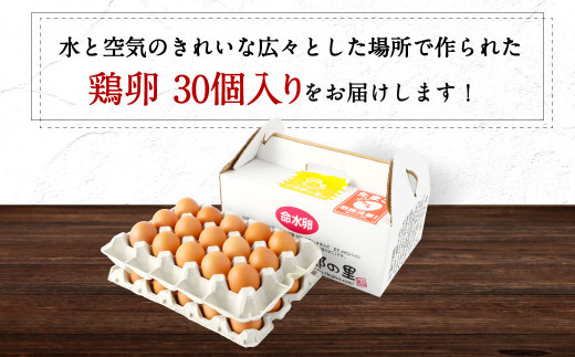 鶏 卵 30個入り 新鮮 たまご - 福岡県嘉麻市｜ふるさとチョイス