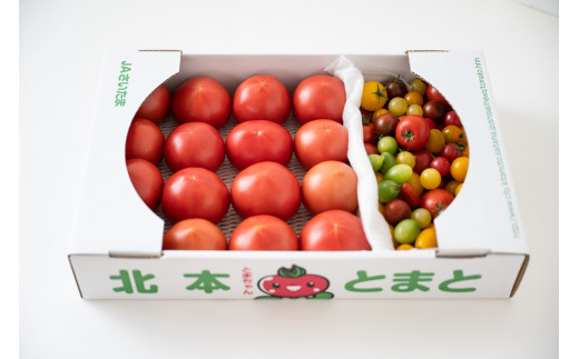 大玉トマト【約3kg】&ミニトマト【1kg】詰め合わせ 新鮮 野菜 とまと 北本産