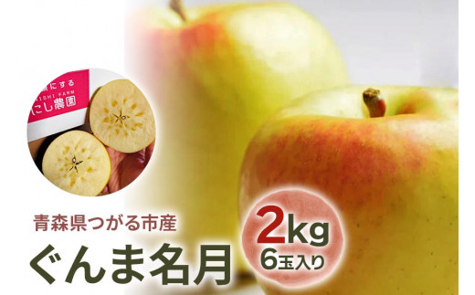 高品質 贈答》ぐんま名月 [2kg 6玉入り] 糖度15度以上の蜜入り りんご