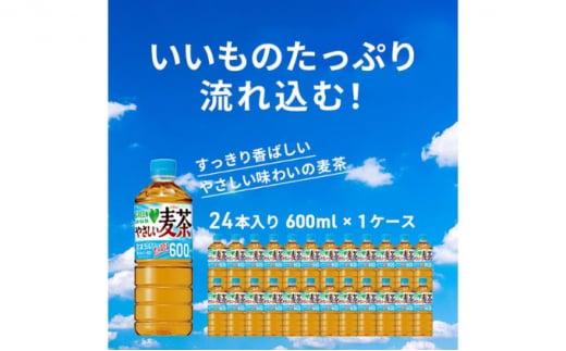 麦茶 GREEN DA・KA・RA やさしい麦茶 600ml×24本 ペットボトル 603129 - 神奈川県綾瀬市