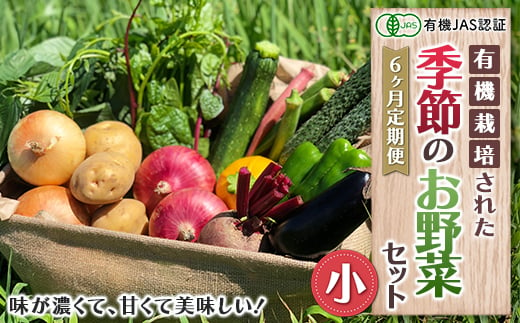 《有機JAS認証》オーガニック 季節のお野菜セット（小）定期便 6ヶ月連続 F21R-865 598905 - 福島県白河市