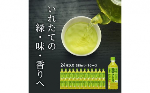 お茶 サントリー 緑茶 伊右衛門 525ml×24本 ペットボトル - 神奈川県