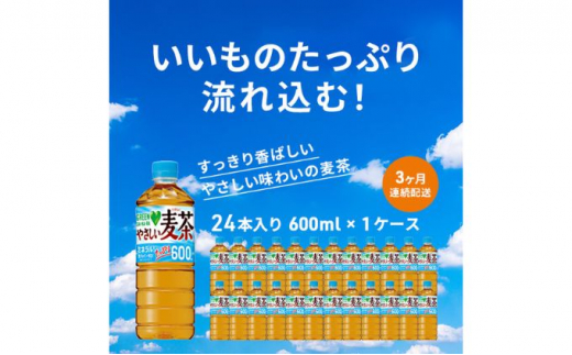 麦茶 定期便 3か月 GREEN DA・KA・RA やさしい麦茶 600ml×24本 ペットボトル 603130 - 神奈川県綾瀬市