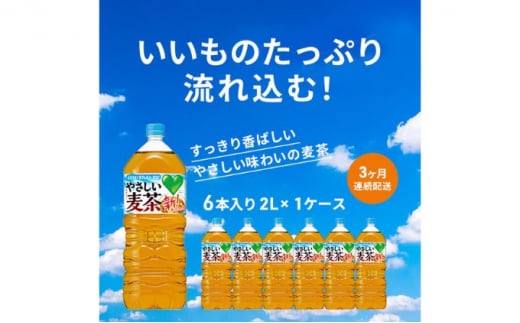 麦茶 定期便 3ヶ月 GREEN DA・KA・RA やさしい麦茶 2L×6本 ペットボトル 603124 - 神奈川県綾瀬市