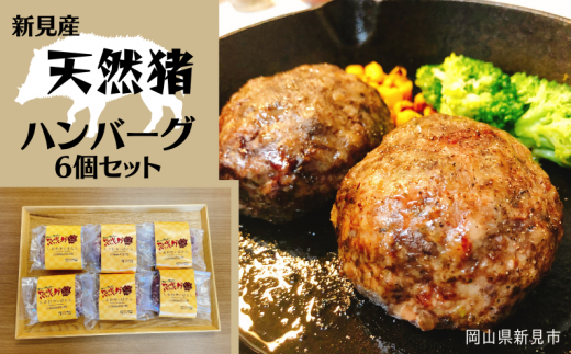 新見産 天然猪 ハンバーグ 6個 セット 猪肉 ジビエ 778403 - 岡山県新見市