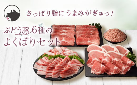 綾ぶどう豚 よくばり6種セット 2.7kg（22-24）