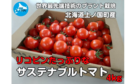 【2024年発送】北海道上ノ国町産 寅福菜園の高リコピントマト「サステナブルトマト」 4㎏