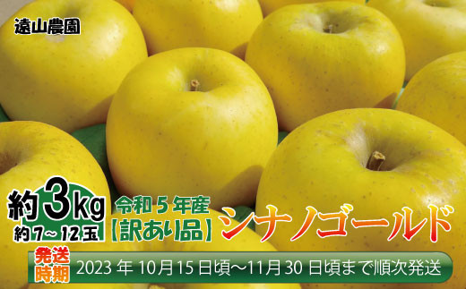 [No.5657-3505]2023年産【訳あり品】シナノゴールド約3kg（約7～12玉）《遠山農園》■2023年発送■※10月中旬頃～11月下旬頃まで順次発送予定