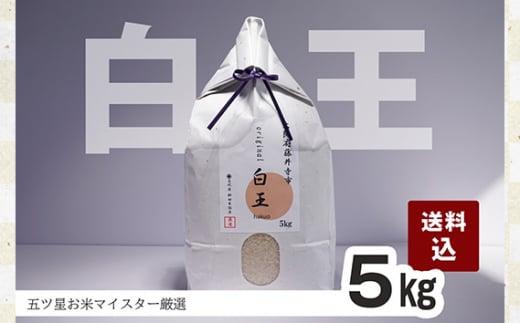 No.210 桝田米穀のお米　白王（HAKUO）5kg ／ オリジナル米 白米 おこめ 大阪府 特産品