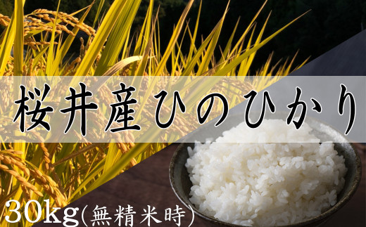 M-EB1.[特別栽培米]桜井市高家産 ヒノヒカリ 30kg×1袋(玄米)