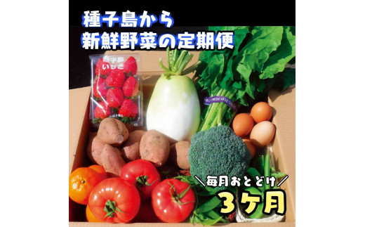 [3か月 定期便 ] 種子島 の新鮮 野菜 と 果物 7〜10品 と 鶏卵 セット NFN475 [975pt]
