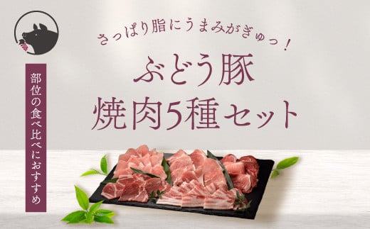 綾ぶどう豚 焼肉・バーベキュー食べ比べセット（22-25）