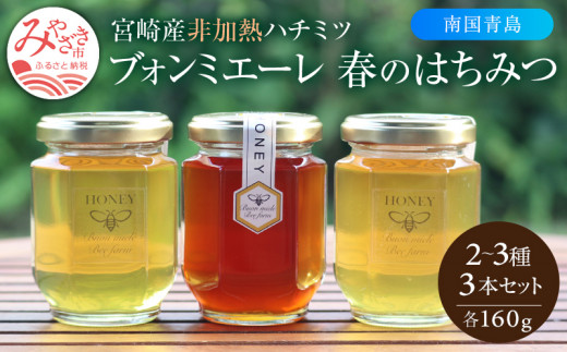 【最速便】【数量・期間限定】宮崎産非加熱ハチミツ(南国青島シリーズ)2～3種 ブォンミエーレ春のハチミツ160g×3本セット_M085-002_01 517050 - 宮崎県宮崎市