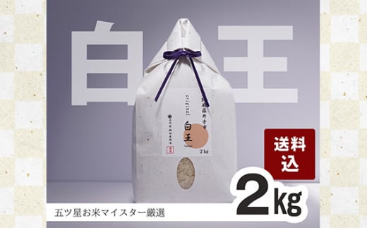 No.209 桝田米穀のお米　白王（HAKUO）2kg ／ オリジナル米 白米 おこめ 大阪府 特産品