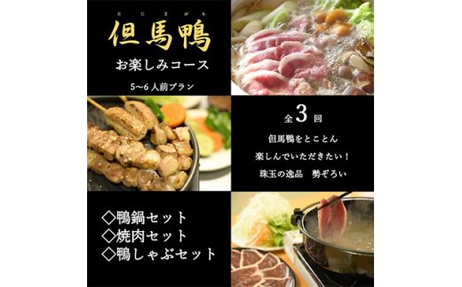 2023年5月発送開始『定期便』兵庫県産「但馬鴨」お楽しみコース 5～6