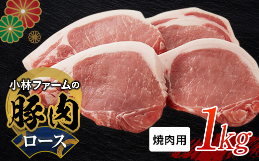 三重県 亀山市 豚肉 ロース 1kg 小林ファームが愛情こめて育てた三元豚(焼肉用) F23N-461