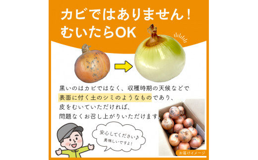 玉ねぎの皮粉末 300g 玉ねぎ皮 粉末 たまねぎの皮 パウダー 外皮 粉末 100 玉ねぎの皮茶 たまねぎの皮茶 タマネギ 玉葱 無添加 サプリ サプリメント 国産 国内産 北海道 淡路島 ポリフェノール ケルセチン カルシウム マグネシウム 鉄 アリシン 硫化アリル 食物繊維 青