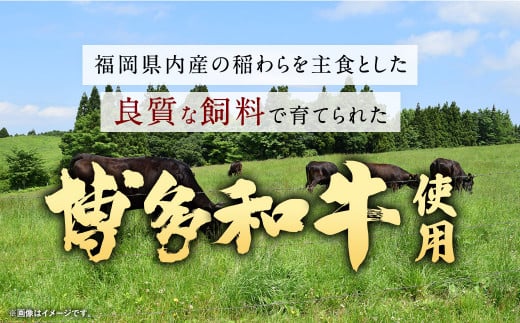 【福岡県産博多和牛使用】博多和牛じっくり煮込んだビーフカレー レトルト 4人前