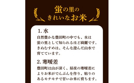 定期便 3ヶ月 】新米 きぬむすめ 10kg × 3ヶ月 計 30kg 精米 大容量 米 お届け回数3回 お米 定期便お届け 白米 直前精米  精米したて 豊田町 下関 山口 - 山口県下関市｜ふるさとチョイス - ふるさと納税サイト