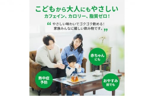 神奈川県綾瀬市のふるさと納税 麦茶 定期便 3ヶ月 GREEN DA・KA・RA やさしい麦茶 2L×6本 ペットボトル