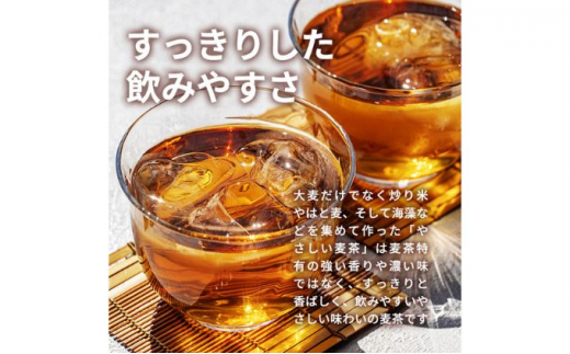 神奈川県綾瀬市のふるさと納税 麦茶 定期便 3ヶ月 GREEN DA・KA・RA やさしい麦茶 2L×6本 ペットボトル