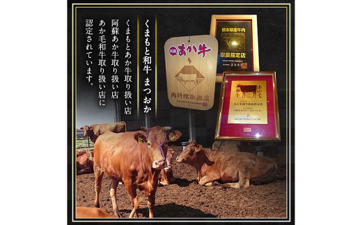 くまもと あか牛 サーロイン ブロック 1kg 牛肉 熊本県産 ステーキ