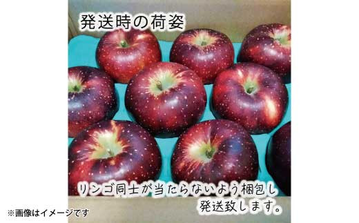 No.5657-3507]2023年産【秀品】秋映 約3kg（約7～12玉）《遠山農園