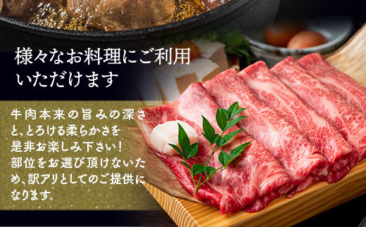 訳アリ！博多和牛しゃぶしゃぶすき焼き用（肩ロース肉・肩バラ・モモ肉）5kg(500g×10p)　DX032|株式会社　MEAT PLUS