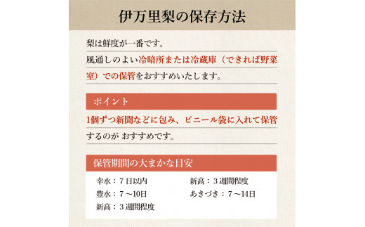 令和5年産先行予約】伊万里梨「あきづき」 約5kg B165 - 佐賀県伊万里