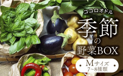季節の野菜BOX  Mサイズ （7～8種類）【Farm Regalo】旬野菜 冷蔵 おまかせ [MDU002] 731943 - 岐阜県土岐市