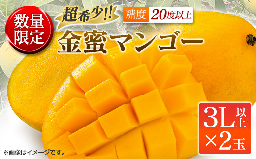 F74-22 ≪数量限定≫超希少!!糖度20度以上「金蜜マンゴー」3L以上×2玉　フルーツ　果物　国産