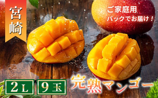 完熟 マンゴー 2L 9玉 約3kg 濃厚 宮崎 高級 果物 フルーツ 贈答 ギフト 甘い 送料無料 先行受付（14-70）