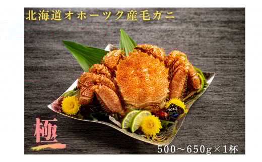 19-57 北海道産毛ガニ　500～650g×1杯