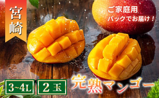 完熟 マンゴー 3L～4L 2玉 濃厚 宮崎 高級 果物 フルーツ 贈答 ギフト 甘い 先行受付 送料無料（04-77）