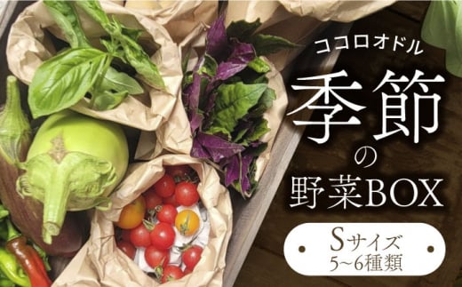 季節の野菜BOX  Sサイズ  （5～6種類）【Farm Regalo】旬野菜 冷蔵 おまかせ [MDU001]