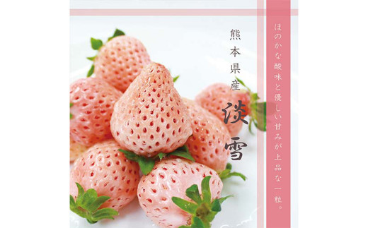 【2023年2月発送開始】熊本県産　高級白苺淡雪(白いちご) 約500g
