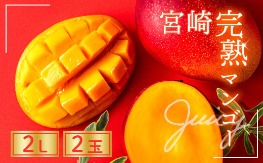 完熟 マンゴー 2L 2玉 700g以上 濃厚 宮崎 高級 果物 フルーツ 贈答
