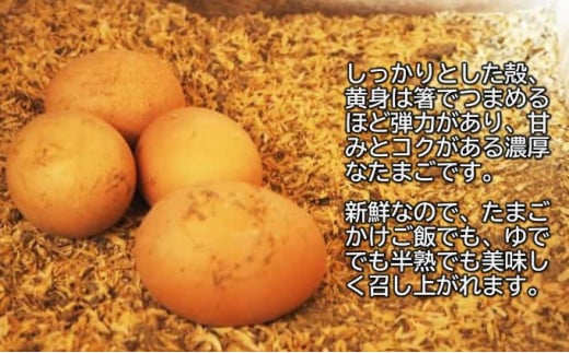 埼玉県蓮田市のふるさと納税 平飼い卵 50個入 Mサイズ
