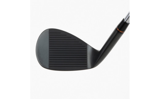 060BE11N.FG HIGH BOUNCE WEDGE（DG S200）