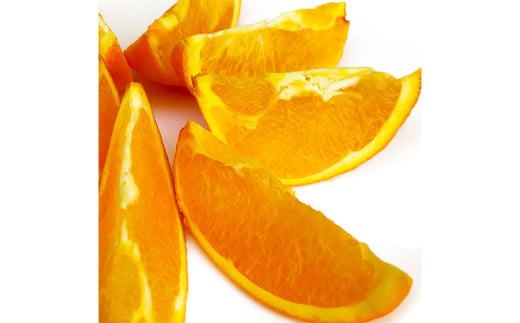 【2023年2月発送開始】熊本県産ネーブルオレンジ 約5キロ