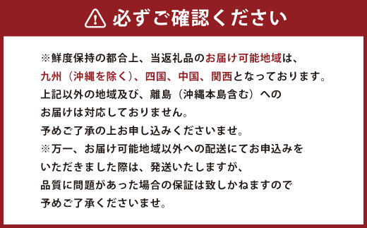 【2023年5月発送開始】熊本県産ブラックジャック(高級西瓜) 約5kg 1玉 スイカ すいか