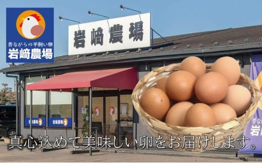 埼玉県蓮田市のふるさと納税 平飼い卵 50個入 Mサイズ