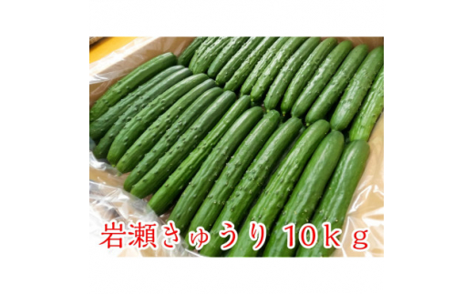 茨城県産 新鮮 ささげ 豆 10Kg - 野菜
