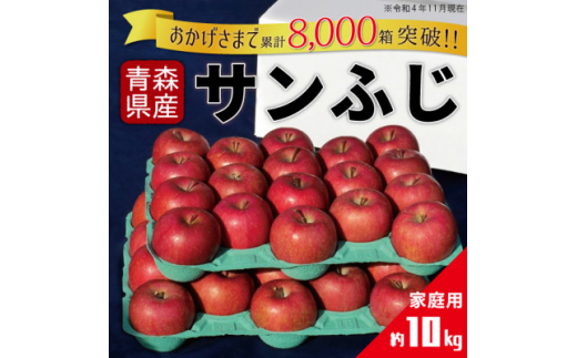 りんご サンふじ 家庭用 約10kg【1331514】 430166 - 青森県青森市