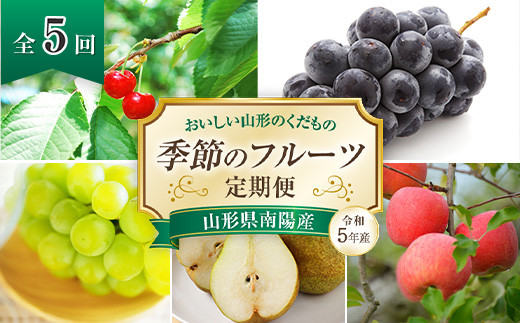 《令和5年産》おいしい山形のくだもの 季節のフルーツ定期便（全5回）フルーツショップしとう 山形県 南陽市 1117-R5