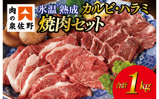 カルビ ハラミ 焼肉セット 合計1kg 氷温(R)熟成肉