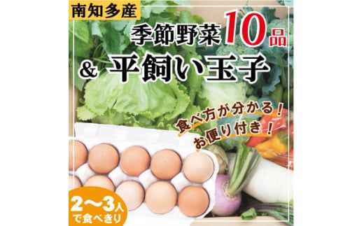 旬の季節野菜セット(10～12品目)&平飼い玉子10個 739302 - 愛知県南知多町