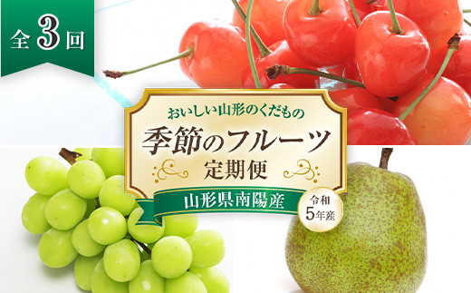 《令和5年産》おいしい山形のくだもの 季節のフルーツ定期便（全3回）フルーツショップしとう 山形県 南陽市 1116-R5