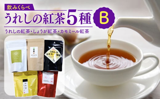 うれしの紅茶 5種 飲み比べセット B【うれしの紅茶振興協議会】 [NAP006] 紅茶 和紅茶 嬉野紅茶 和紅茶 紅茶 ティーバッグ リーフ 佐賀 嬉野 紅茶 飲み比べ