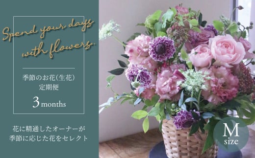 【毎月お届け】季節のお花（生花）の定期便・Mサイズ　3か月 356789 - 千葉県柏市